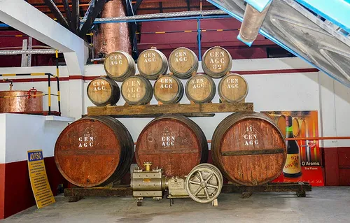 Rum production from sugarcane in Madeira